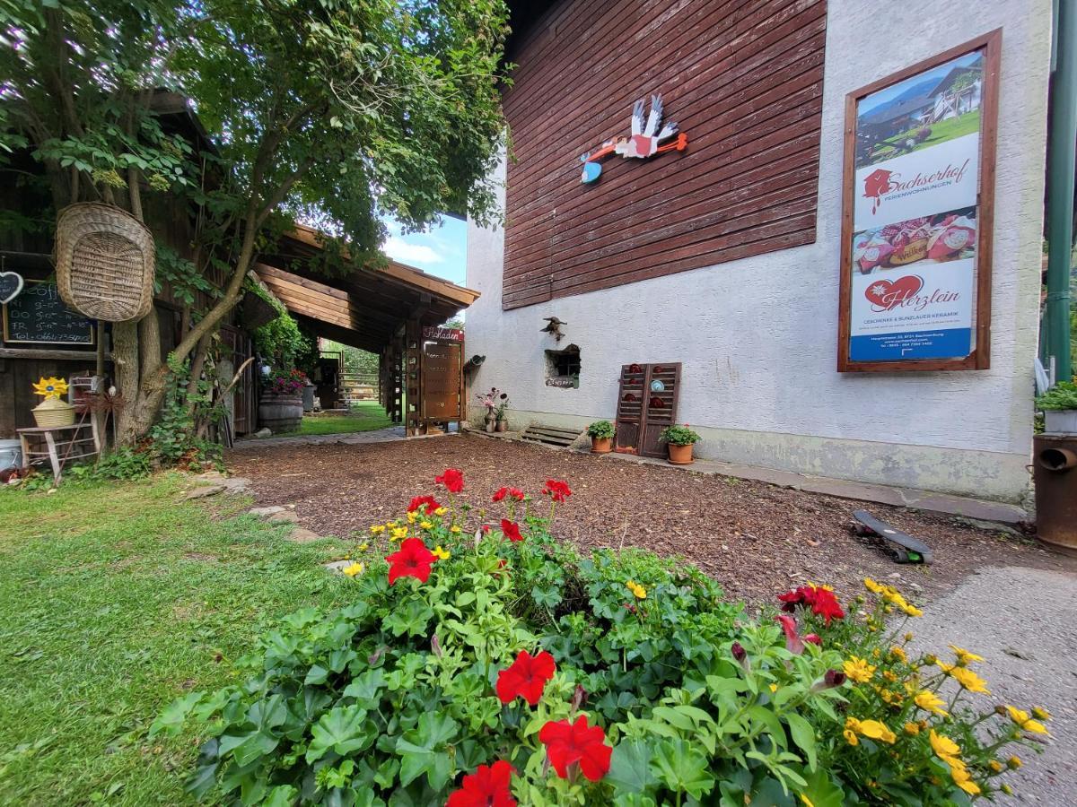 Sachserhof Ferienwohnungen In Sachsenburg 외부 사진