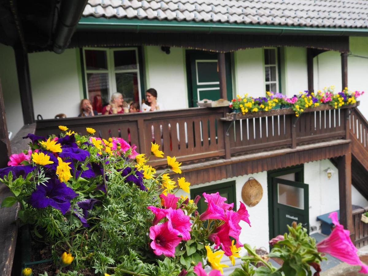 Sachserhof Ferienwohnungen In Sachsenburg 외부 사진