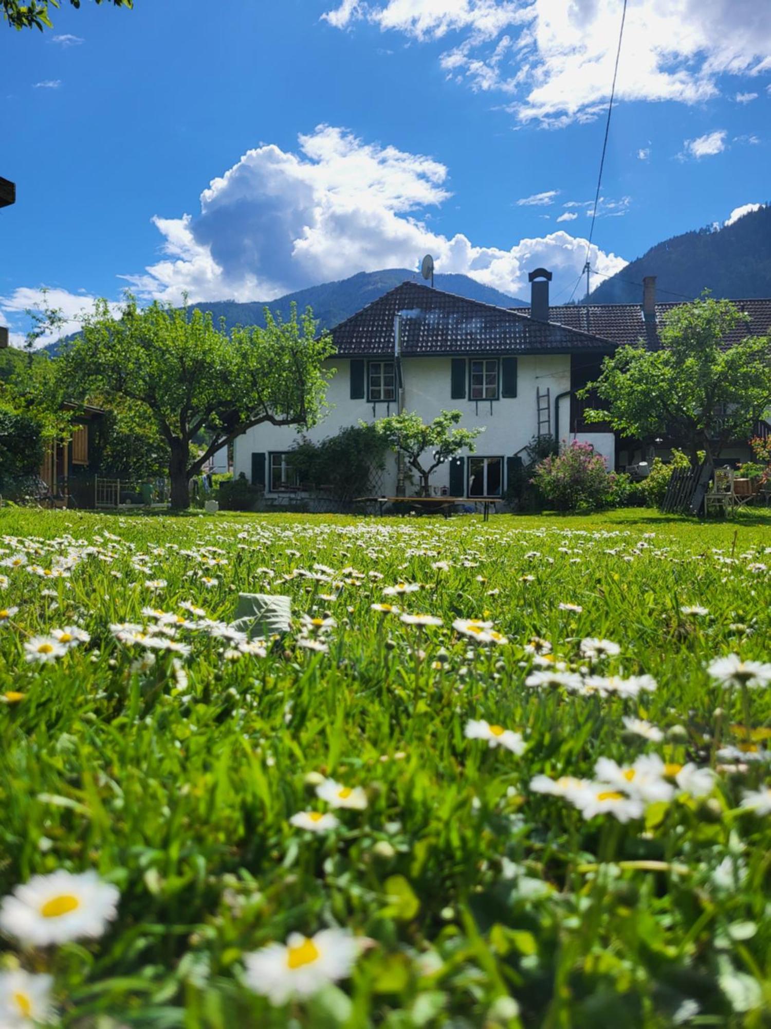 Sachserhof Ferienwohnungen In Sachsenburg 외부 사진