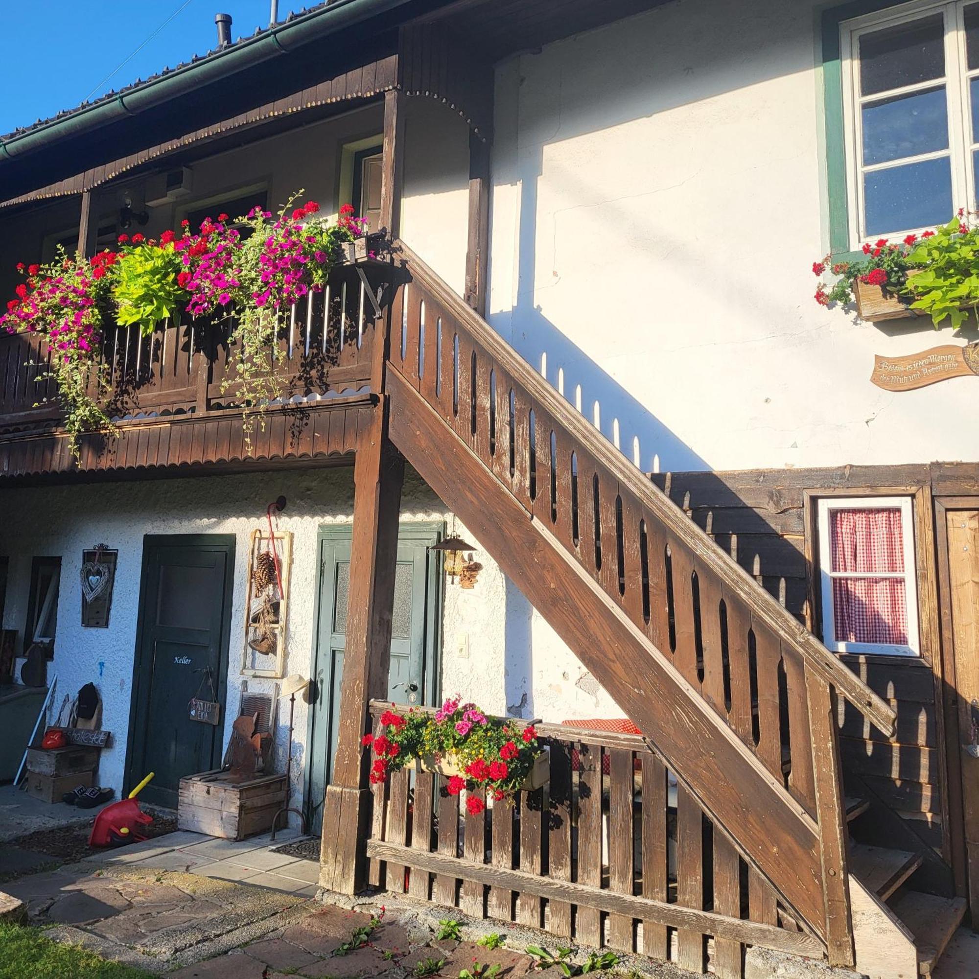 Sachserhof Ferienwohnungen In Sachsenburg 외부 사진
